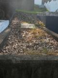 image of grave number 720313
